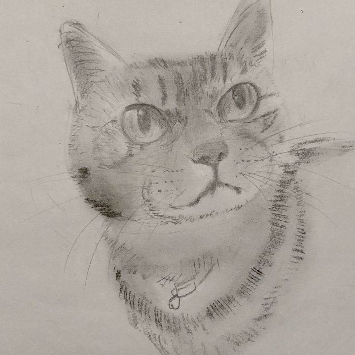 19f4cfb4 4fb4 49ca 9e46 89463f7aaee0 1630543017507