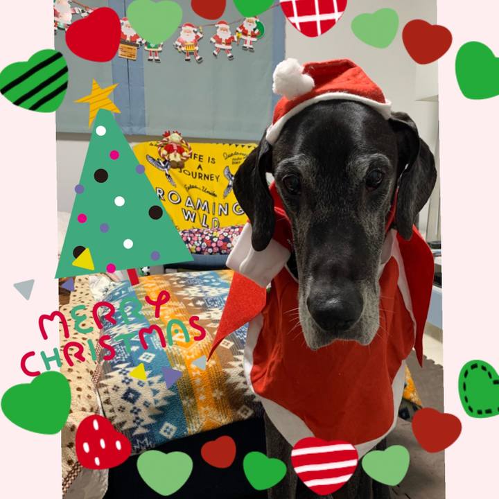 19f4efe8 12b6 413d 9c70 ba10c25a58b0 1608806571470