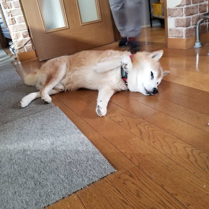 19f4f739 5fe1 4981 a52c 59ff35b0e555 1736817235131