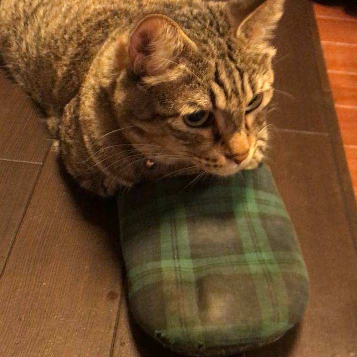 19f536a1 9f82 4cf5 b52c 2c674a6c6f46 1508853025370