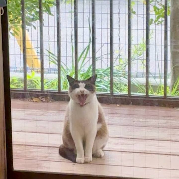 19f55d10 ca2d 4ad9 b2b6 c87ccdc32169 1746450949602