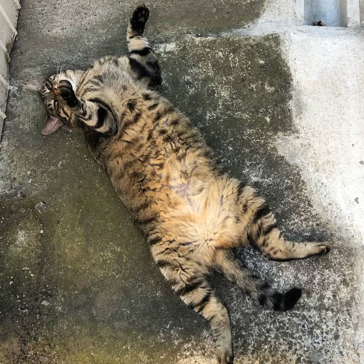 19f5709a e181 42c7 b6c9 34c4e418a127 1565610459629