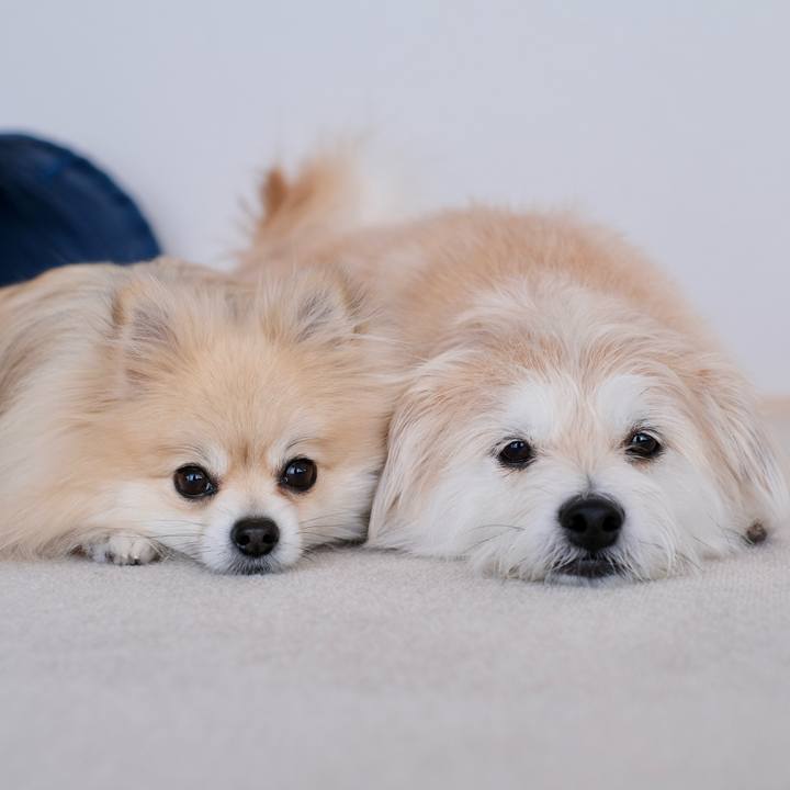 19f57615 2fb5 4c14 9da6 7998bfe5580b 1772663023082