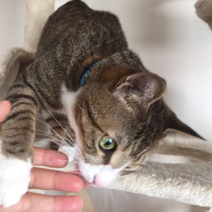 19f5789e f454 4e06 aa6b f4bfc1a27204 1679181194168