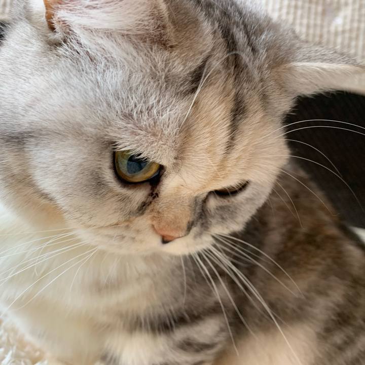 19f597c3 7cef 4829 be42 ed64b3abaec0 1708828328904