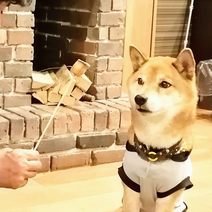 19f5b3c1 9ad9 4032 8baf 6eccf5aae38f 1602330060121