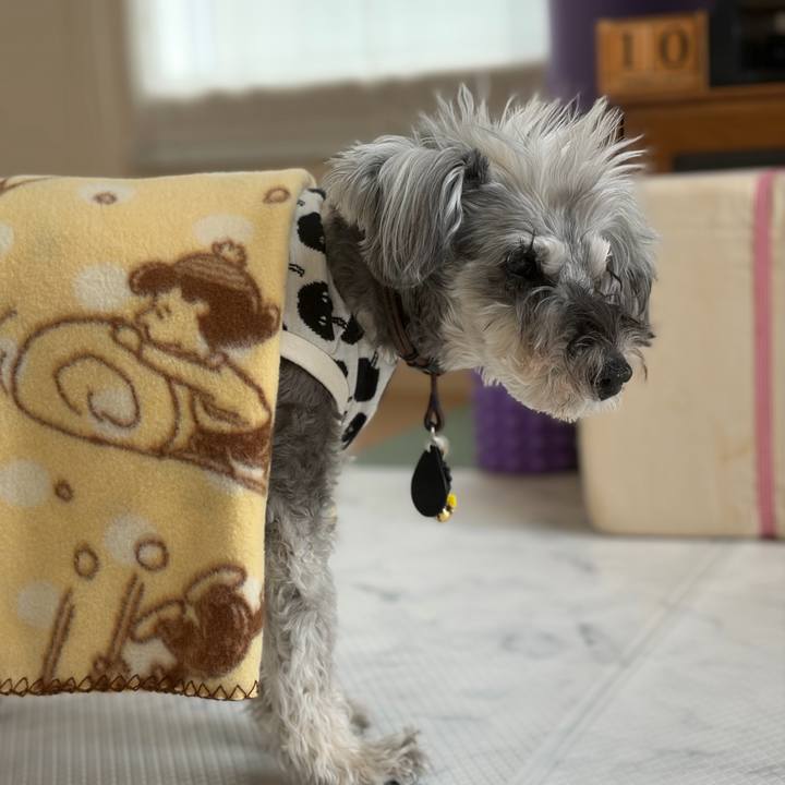 19f5b68c a7f7 4397 83f9 58146a0de7de 1770701969628