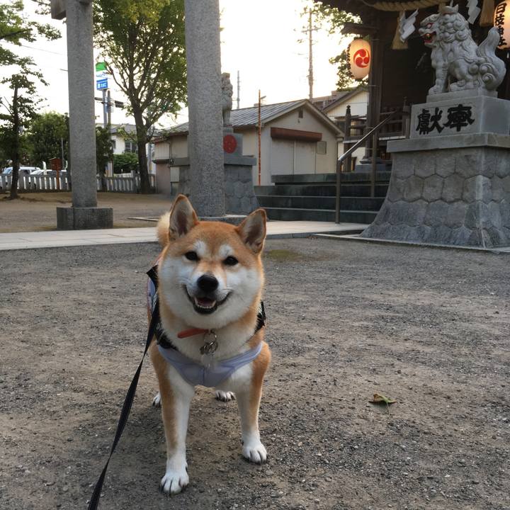 19f61033 7374 4c91 979e cae3b25d4eb5 1532031842514