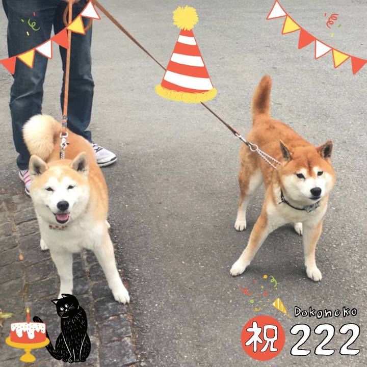 19f65d1a ac19 4893 935d 1c8fe6e760a0 1645510216673