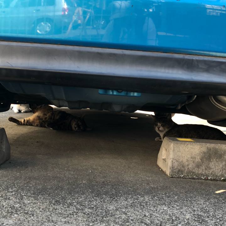 19f6602f 423c 471c 8efc a0dd31561d19 1536145648498