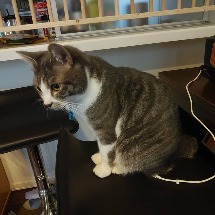 19f6658b d731 4a1e b11a 3cc83a213a36 1581808356066