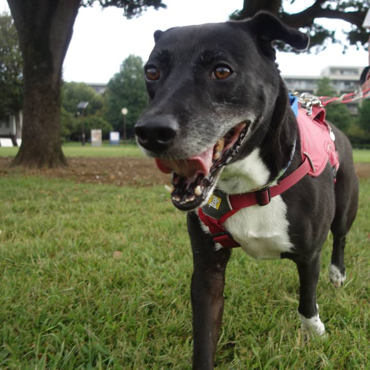 19f6b839 bccb 48da b158 ca0a29b3e4a2 1695859147784