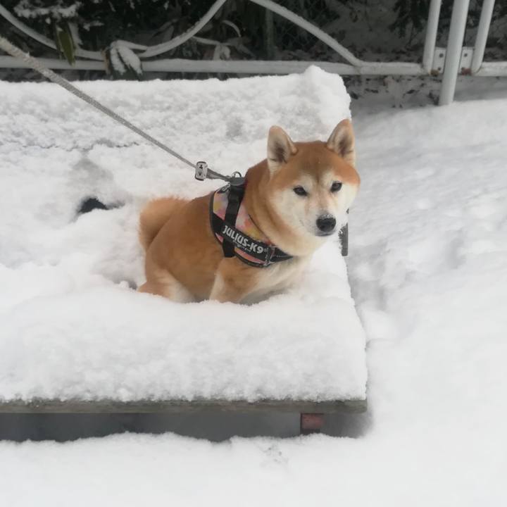 19f6c987 52d3 4ac0 8044 f31ddc442df0 1577499730838