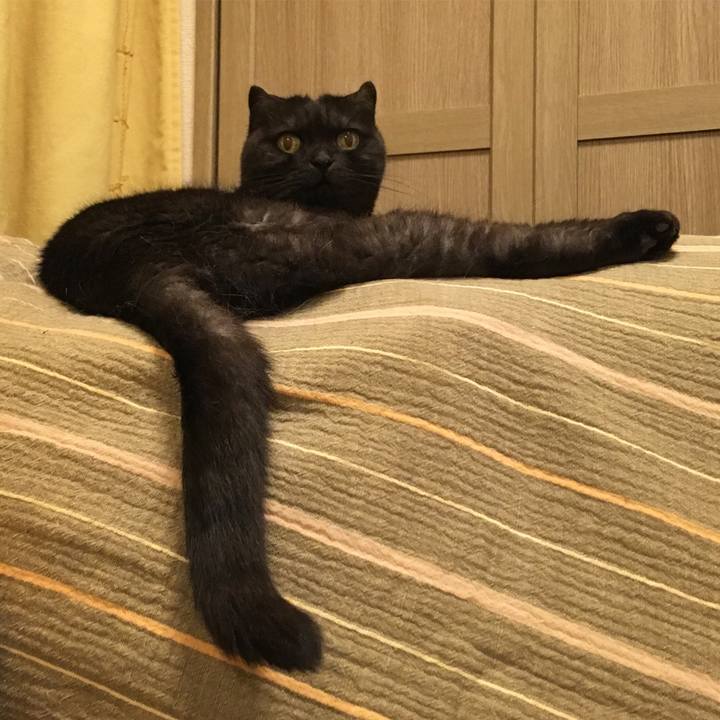 19f6dd2f 1990 4af5 a1b8 f5203da846e5 1531847630302