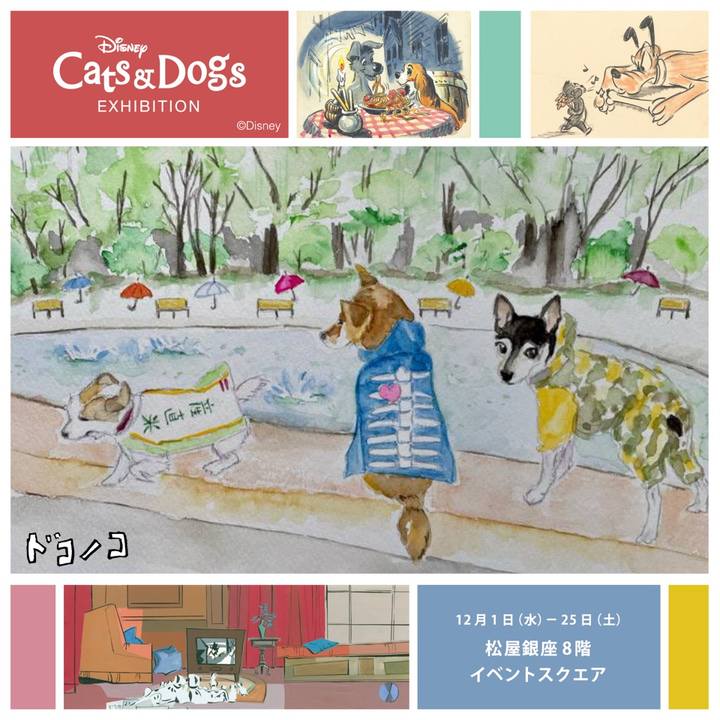 19f6e75c 9b19 4398 a3fc 0a219680922e 1638356194022