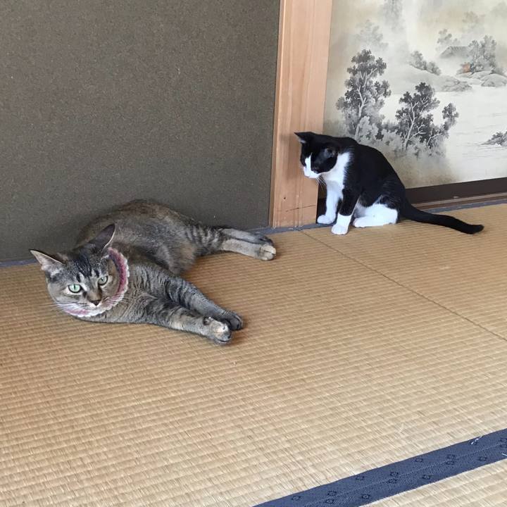 19f6ee5a 43d0 4fce a701 bfb6b58c0475 1626760386522