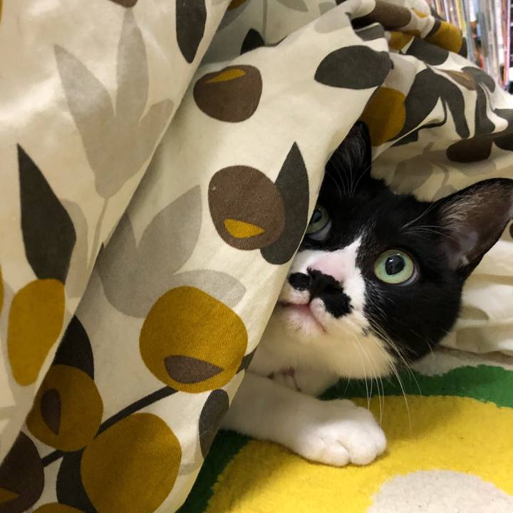 19f7204e 4c8d 4f28 b5b8 bd8e08729a23 1515934299228