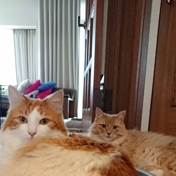 19f725ae 0e15 44fe a393 2f9f39a28658 1566548496531