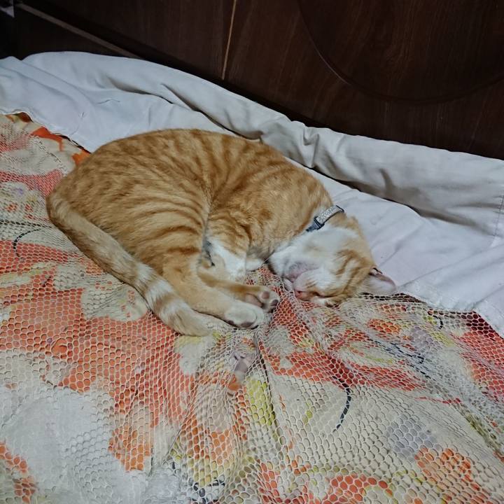 19f745f4 8836 4d34 a2e0 bbc88c586ada 1588507754375