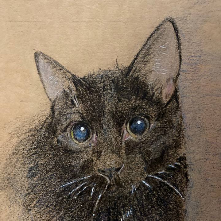 19f74feb 69ad 4682 94a3 3e80b0ab325a 1668770458977