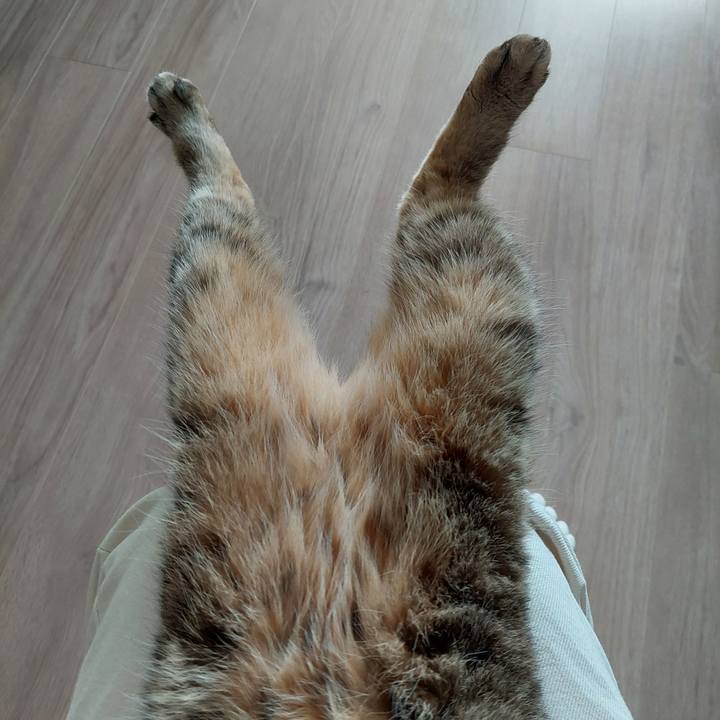 19f7680d e05a 41dc 85b9 cb4cdd1a8ad5 1730164331982