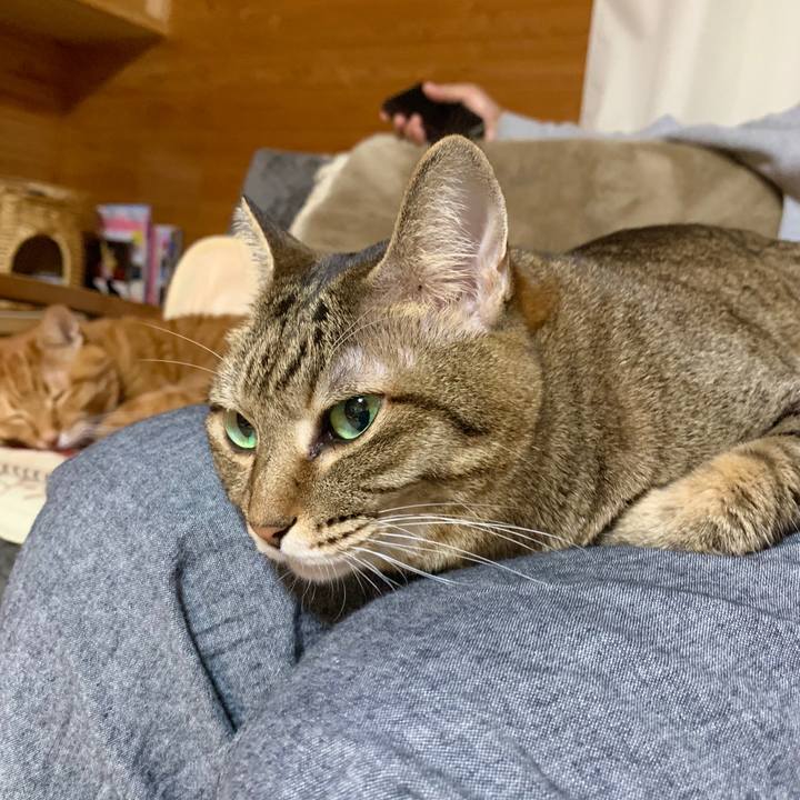 19f78bd6 b7e2 4cb8 a1c8 695899b6cf8d 1572961004258