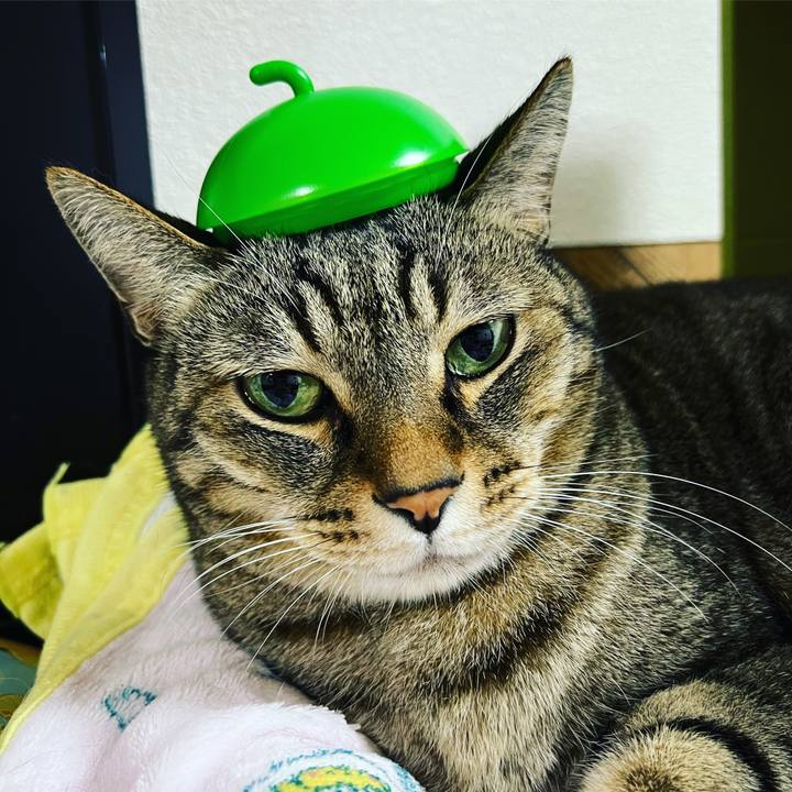 19f79665 6e01 4bff aeb6 c669754e25a8 1635684383427