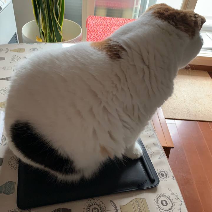 19f7968f c0b3 4f36 bc81 6377cd3aaea8 1566958294346