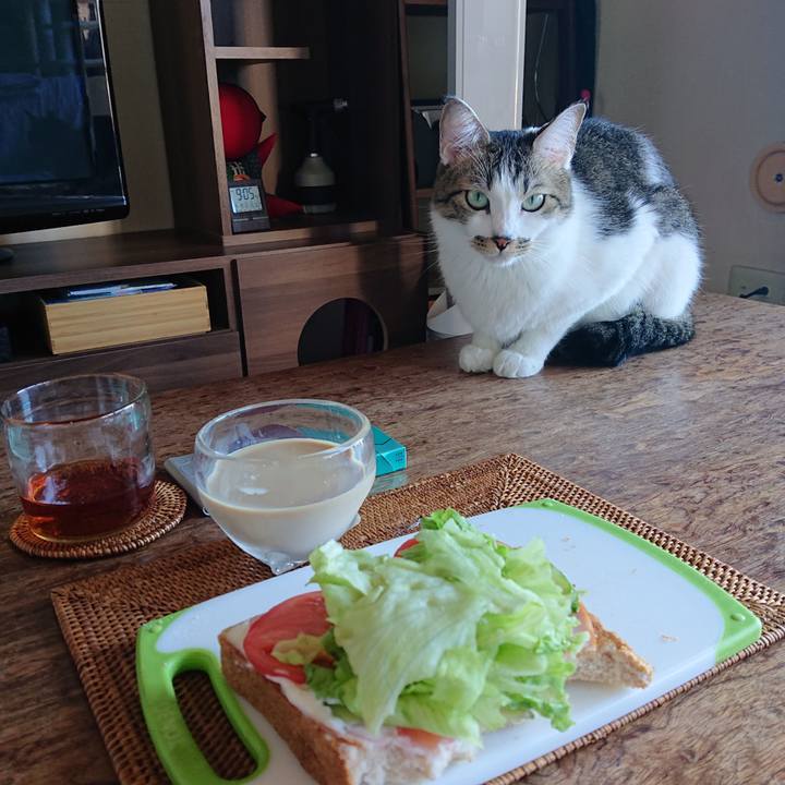 19f7b135 42a9 46ce 90ab 7a12c434b7dc 1632013833679