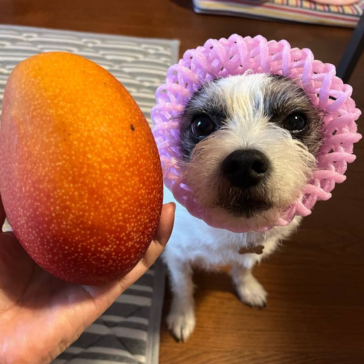 19f7dcab 70e9 4614 a368 d4b145751c41 1749875887711