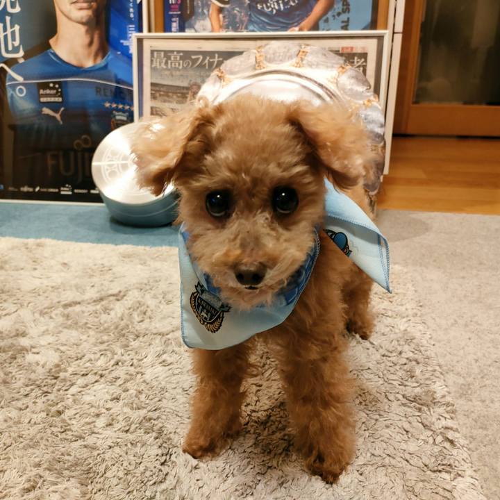 19f7e95e 1e02 4270 aa74 d9c9d49b88c8 1645140985223