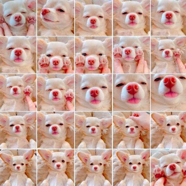 19f830d3 1f18 4e07 9a97 d2d70866801d 1623051523565