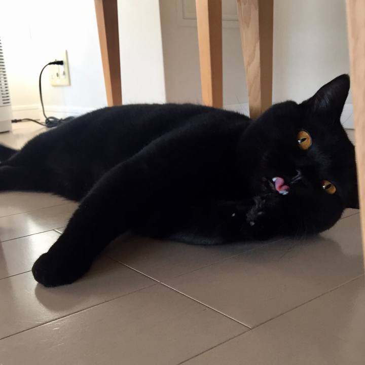 19f83659 2d77 4958 a17b b55db4521dc1 1538875294605