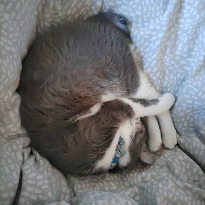 19f89740 ead7 4602 822f 948790f42875 1705114445511