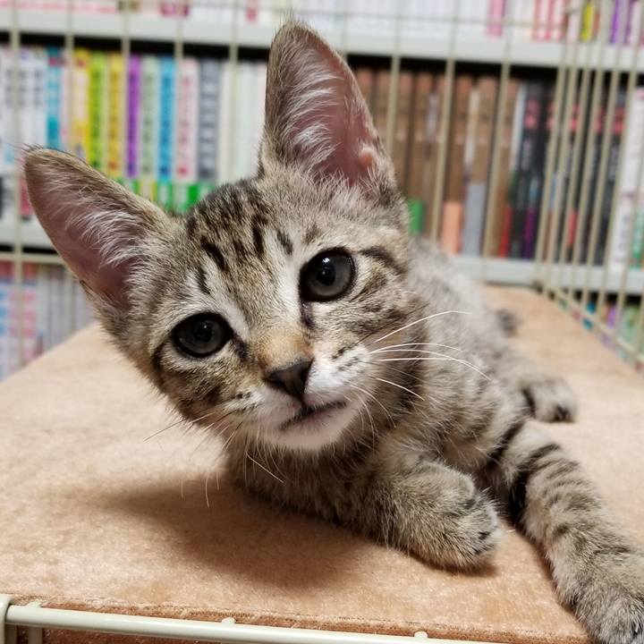 19f8b954 e922 4ce6 b11f 28ba324915fe 1535092349600