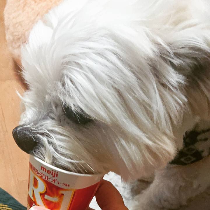 19f8d624 3786 49d7 b5d3 205cb8b6b854 1586180380974