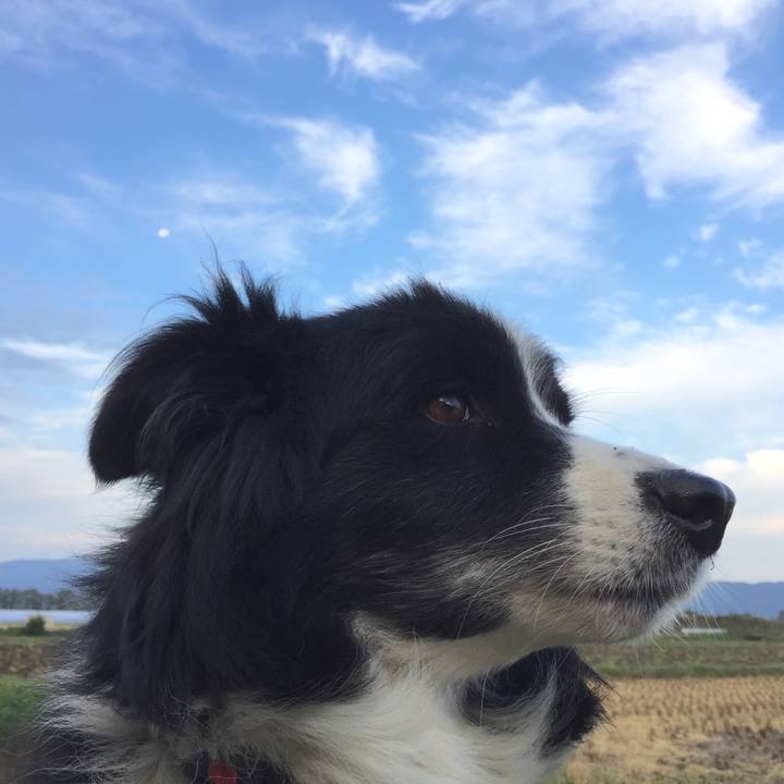 19f90c43 5666 4108 8f2b d2645c7abde7 1571264085081