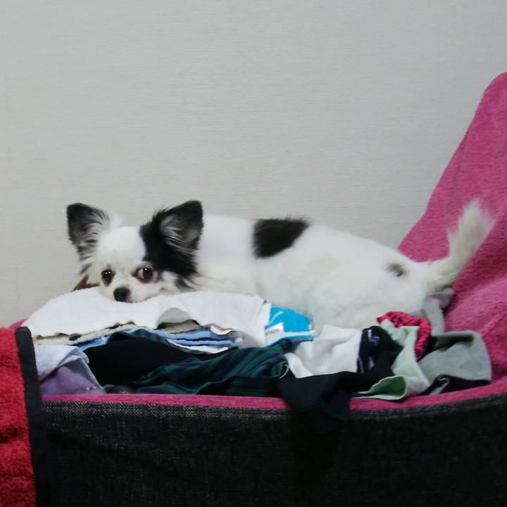 19f94b7d 8bdf 4658 9d4b d785f5bcda69 1540815097806