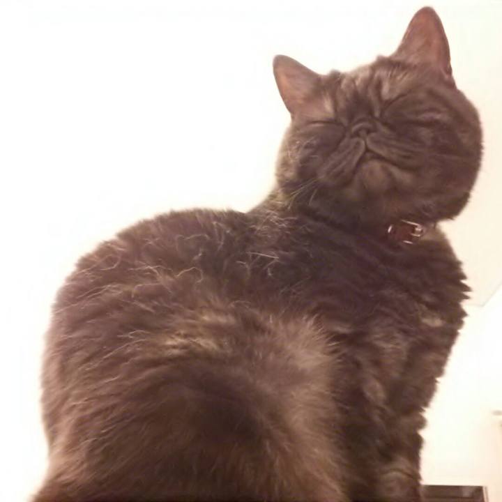 19f94c43 35e5 429d b97d 2d72ba24b786 1536531384771