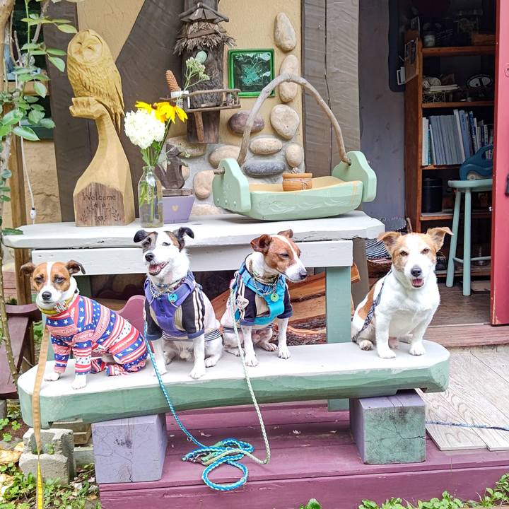 19f99ee1 2e2f 4811 ad1a ec5ffa830e48 1658126589748