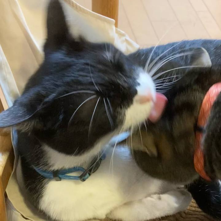 19f9ec7c f8f1 47b1 b832 4f0ecc6188c6 1718624460993