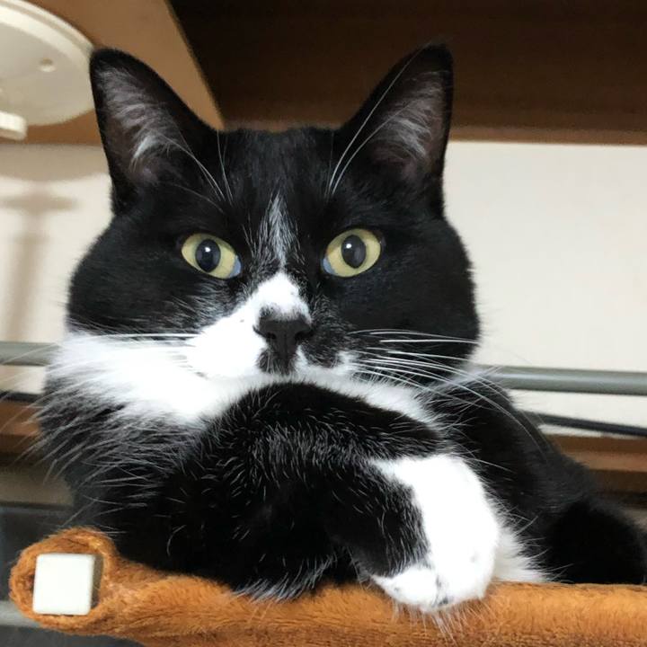 19f9f92d 070a 4340 bb53 66cb9d51996b 1648179940891