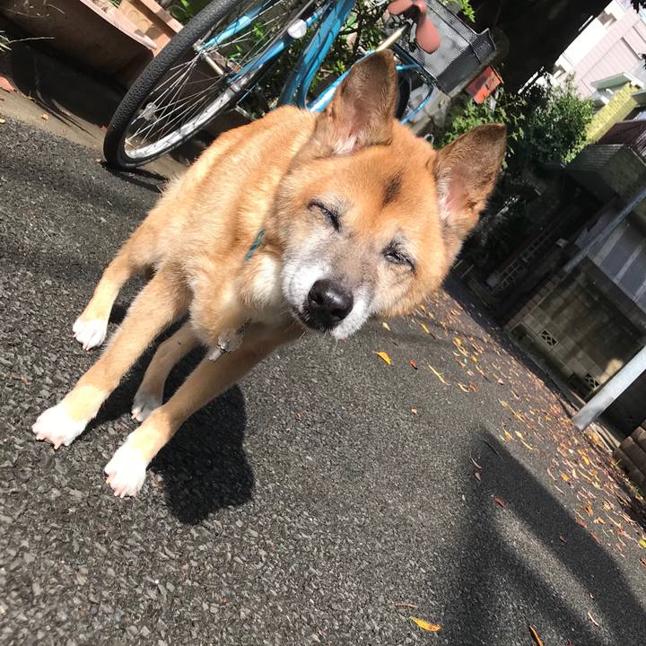 19fa1892 aa11 468a bd17 c04ffa2cd57f 1538787279691