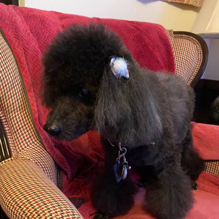 19fa2dcf 558d 4ca1 9e1c 862220d01724 1609295679195