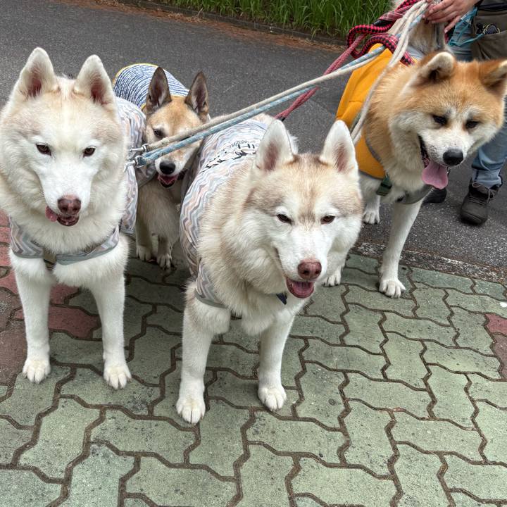 19fa363c 28ba 4e62 aa7b fba6dbe13a7e 1754105920488