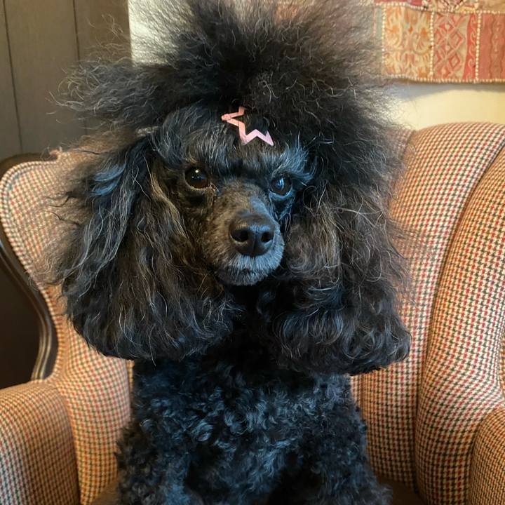 19fa64b0 16c4 48ed a76c 2cec1df249f8 1661208566297