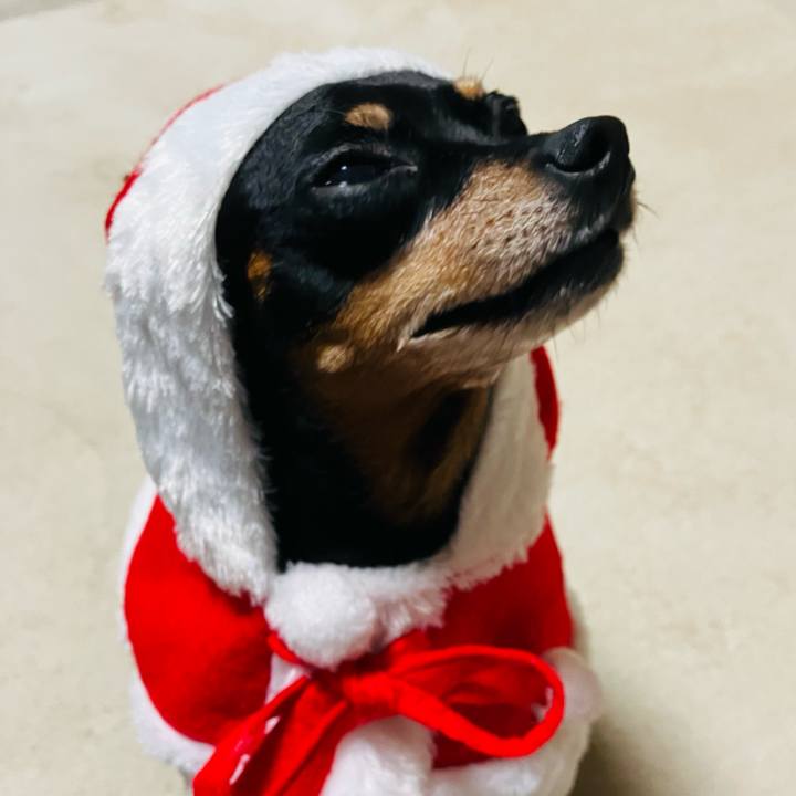 19fa87ce 26cf 4b30 8a35 6c0886c77361 1766586154912