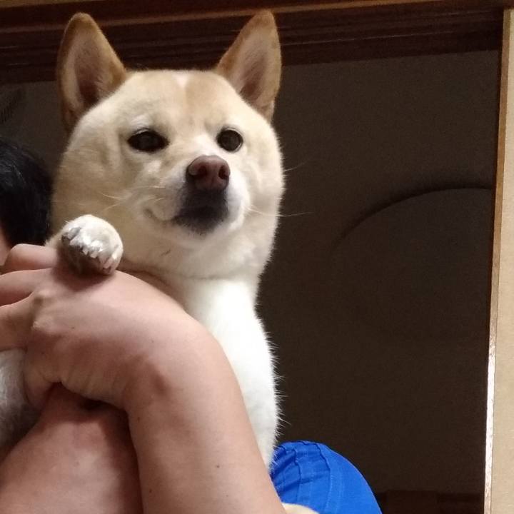 19fa988b 80d3 4ebc 93a8 486990aa16ee 1592008977760