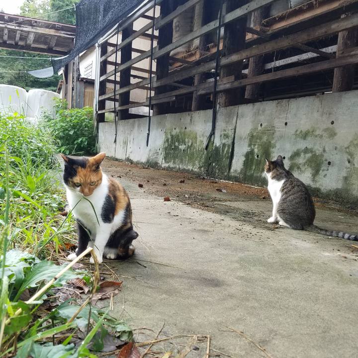 19fad906 6658 490d ab8b f197cf6afbd7 1600121280890