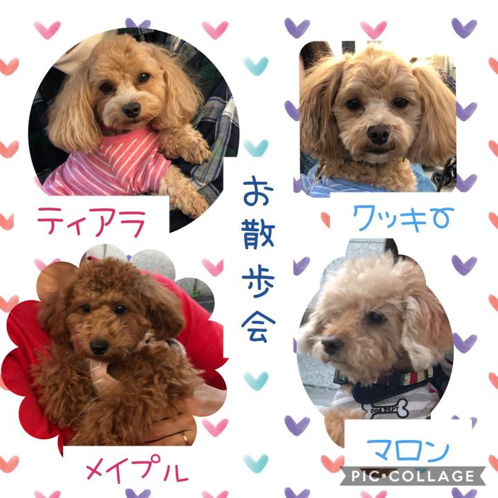 19fae7c5 4334 4cfc 8e07 e8e7be375928 1603639156990